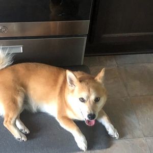 Meet your Posher, Lynne